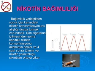 NİKOTİN BAĞIMLILIĞI
  Bağımlılık yerleştikten
sonra içici kanındaki
nikotin konsantrasyonunu
alıştığı dozda tutmak
zorundadır. Son sigaranın
içilmesinden sonra
kandaki nikotin
konsantrasyonu
azalmaya başlar ve 4
saat sonra tükenir ve
nikotin yoksunluğu
sıkıntıları ortaya çıkar
 