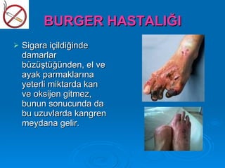 BURGER HASTALIĞI
   Sigara içildiğinde
    damarlar
    büzüştüğünden, el ve
    ayak parmaklarına
    yeterli miktarda kan
    ve oksijen gitmez,
    bunun sonucunda da
    bu uzuvlarda kangren
    meydana gelir.
 