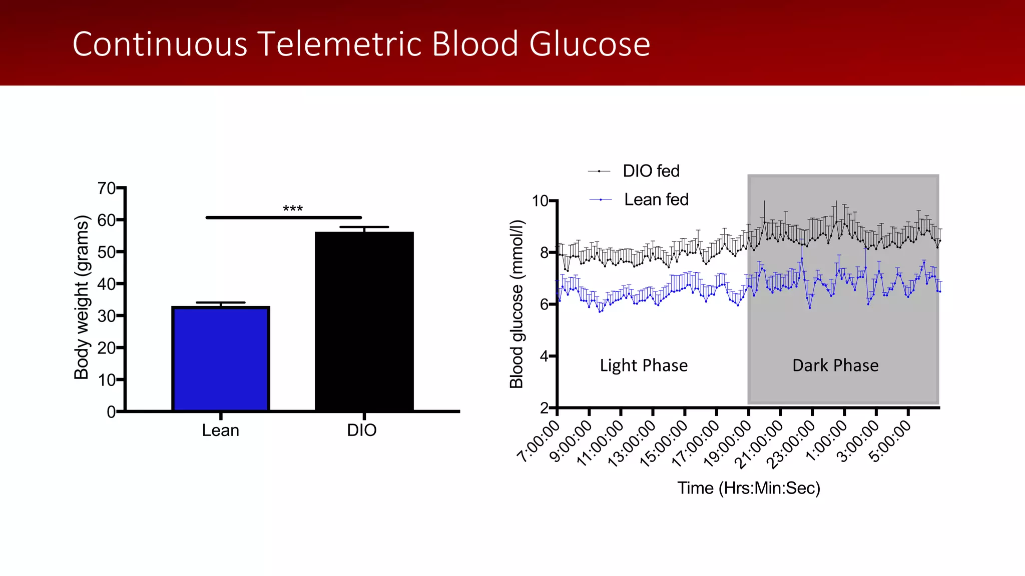 Lean DIO
0
10
20
30
40
50
60
70
Bodyweight(grams)
***
Continuous Telemetric Blood Glucose
7:00:009:00:0011:00:0013:00:0015:00:0017:00:0019:00:0021:00:0023:00:001:00:003:00:005:00:00
2
4
6
8
10
Time (Hrs:Min:Sec)
Bloodglucose(mmol/l)
DIO fed
Lean fed
Light Phase Dark Phase
7:00:009:00:0011:00:0013:00:0015:00:0017:00:0019:00:0021:00:0023:00:001:00:003:00:005:00:00
2
Time (Hrs:Min:Sec)
Blo
DIO fed
Lean fed
 