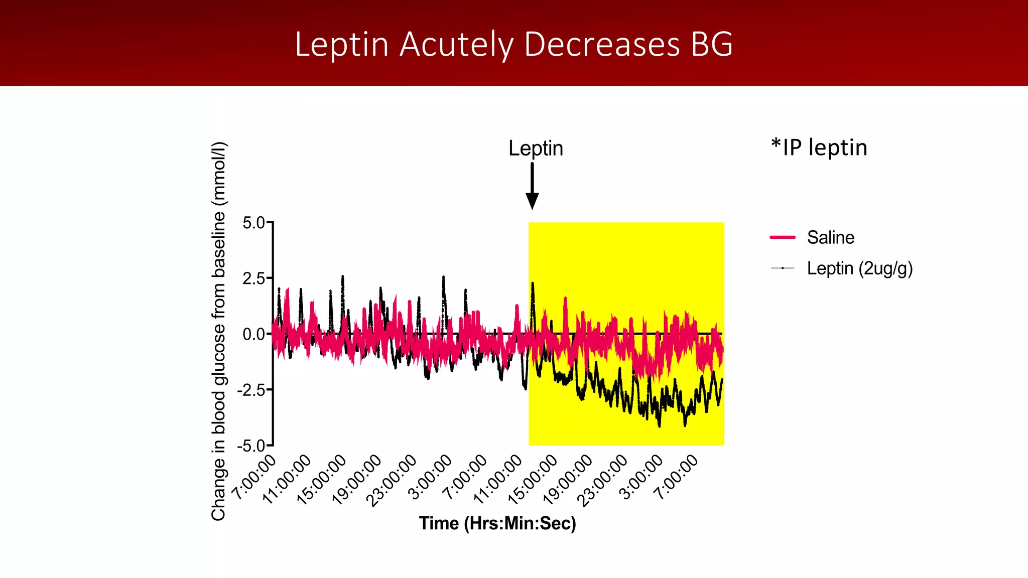 7:00:0011:00:0015:00:0019:00:0023:00:003:00:007:00:0011:00:0015:00:0019:00:0023:00:003:00:007:00:00
-5.0
-2.5
0.0
2.5
5.0
Time (Hrs:Min:Sec)
Changeinbloodglucosefrombaseline(mmol/l)
Leptin
Saline
Leptin (2ug/g)
*IP leptin
Leptin Acutely Decreases BG
 