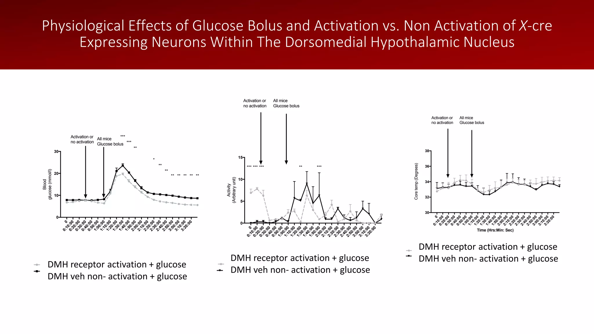 00:10:000:20:000:30:000:40:000:50:001:00:001:10:001:20:001:30:001:40:001:50:002:00:002:10:002:20:002:30:002:40:002:50:003:00:003:10:003:20:00
0
5
10
15
Activity
(Arbitraryunit)
DMH lepR activation + glucose
*** *** *** **
DMH lepR no activation + glucose
***
Activation or
no activation
All mice
Glucose bolus
00:10:000:20:000:30:000:40:000:50:001:00:001:10:001:20:001:30:001:40:001:50:002:00:002:10:002:20:002:30:002:40:002:50:003:00:003:10:003:20:00
0
10
20
30
Blood
glucose(mmol/l)
DMH lepR activation + glucose
***
***
**
*
**
**
** ** ** ** **
DMH lepR no activation + glucose
Activation or
no activation
All mice
Glucose bolus
00:10:000:20:000:30:000:40:000:50:001:00:001:10:001:20:001:30:001:40:001:50:002:00:002:10:002:20:002:30:002:40:002:50:003:00:003:10:003:20:00
30
32
34
36
38
Time (Hrs:Min: Sec)
Coretemp(Degrees)
DMH lepR activation + glucose
DMH lepR no activation + glucose
Activation or
no activation
All mice
Glucose bolus
DMH receptor activation + glucose
DMH veh non- activation + glucose
DMH receptor activation + glucose
DMH veh non- activation + glucose
DMH receptor activation + glucose
DMH veh non- activation + glucose
Physiological Effects of Glucose Bolus and Activation vs. Non Activation of X-cre
Expressing Neurons Within The Dorsomedial Hypothalamic Nucleus
 