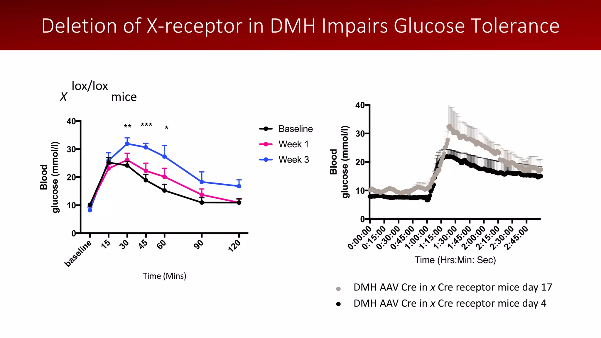 baseline
15
30
45
60
90
1200
10
20
30
40
Blood
glucose(mmol/l)
Time (Mins)
Baseline
Week 1
Week 3
** ****
X
lox/lox
mice
0:00:000:15:000:30:000:45:001:00:001:15:001:30:001:45:002:00:002:15:002:30:002:45:00
0
10
20
30
40
Time (Hrs:Min: Sec)
Blood
glucose(mmol/l)
DMH AAV Cre in LepR flox mice day 17
DMH AAV Cre in LepR flox mice day 4
Deletion of X-receptor in DMH Impairs Glucose Tolerance
DMH AAV Cre in x Cre receptor mice day 17
DMH AAV Cre in x Cre receptor mice day 4
0:00:000:15:000:30:000:45:001:00:001:15:001:30:001:45:002:00:002:15:002:30:002:45:00
0
10
20
30
40
Time (Hrs:Min: Sec)
Blood
glucose(mmol/l)
DMH AAV Cre in LepR flox mice day 17
DMH AAV Cre in LepR flox mice day 4
 