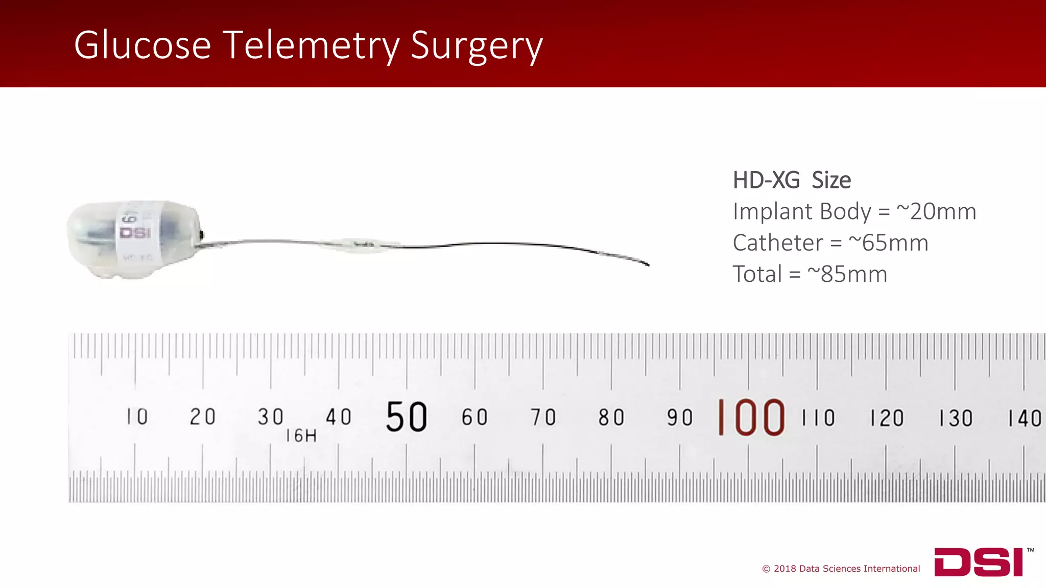 © 2018 Data Sciences International
Glucose Telemetry Surgery
HD-XG Size
Implant Body = ~20mm
Catheter = ~65mm
Total = ~85mm
 
