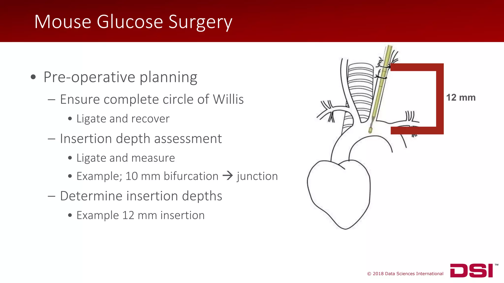 © 2018 Data Sciences International
• Pre-operative planning
– Ensure complete circle of Willis
• Ligate and recover
– Insertion depth assessment
• Ligate and measure
• Example; 10 mm bifurcation → junction
– Determine insertion depths
• Example 12 mm insertion
12 mm
Mouse Glucose Surgery
 