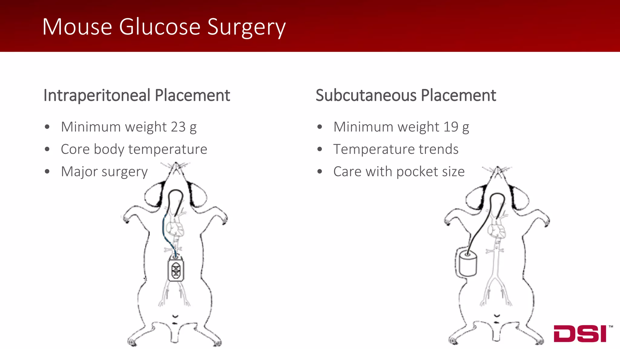 © 2018 Data Sciences International
Intraperitoneal Placement
• Minimum weight 23 g
• Core body temperature
• Major surgery
Subcutaneous Placement
• Minimum weight 19 g
• Temperature trends
• Care with pocket size
Mouse Glucose Surgery
 