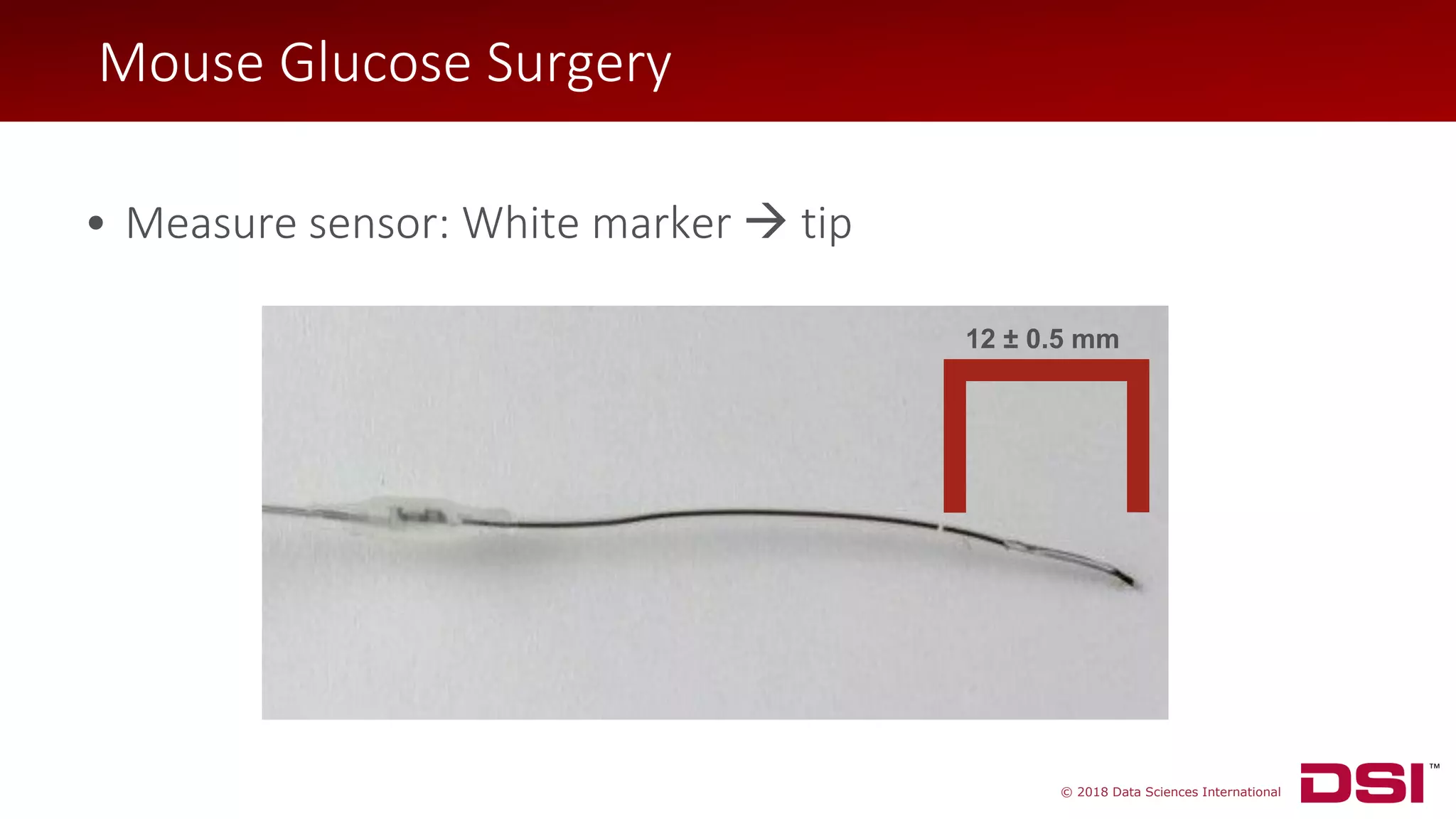 © 2018 Data Sciences International
• Measure sensor: White marker → tip
12 ± 0.5 mm
Mouse Glucose Surgery
 