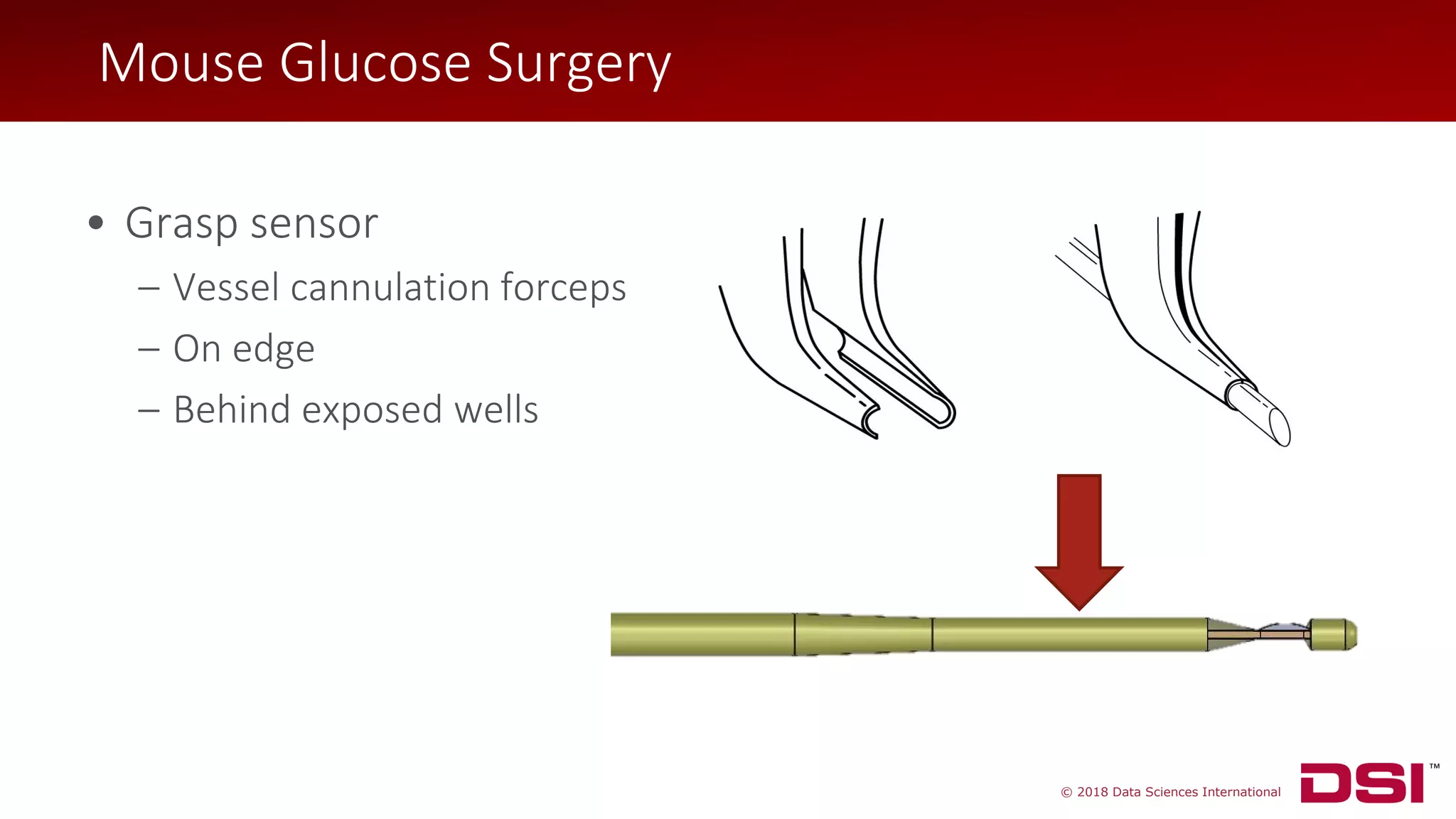 © 2018 Data Sciences International
• Grasp sensor
– Vessel cannulation forceps
– On edge
– Behind exposed wells
Mouse Glucose Surgery
 