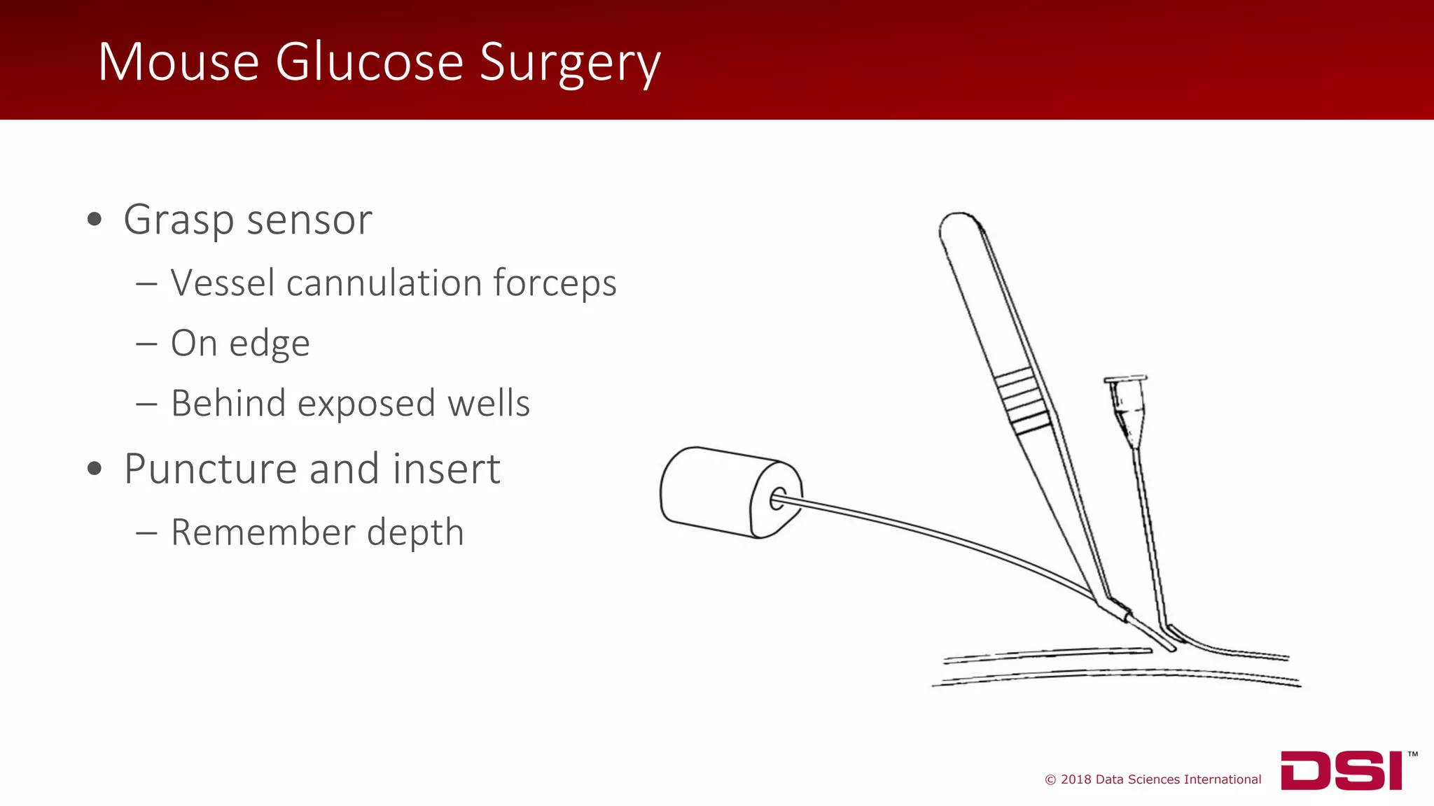 © 2018 Data Sciences International
• Grasp sensor
– Vessel cannulation forceps
– On edge
– Behind exposed wells
• Puncture and insert
– Remember depth
Mouse Glucose Surgery
 