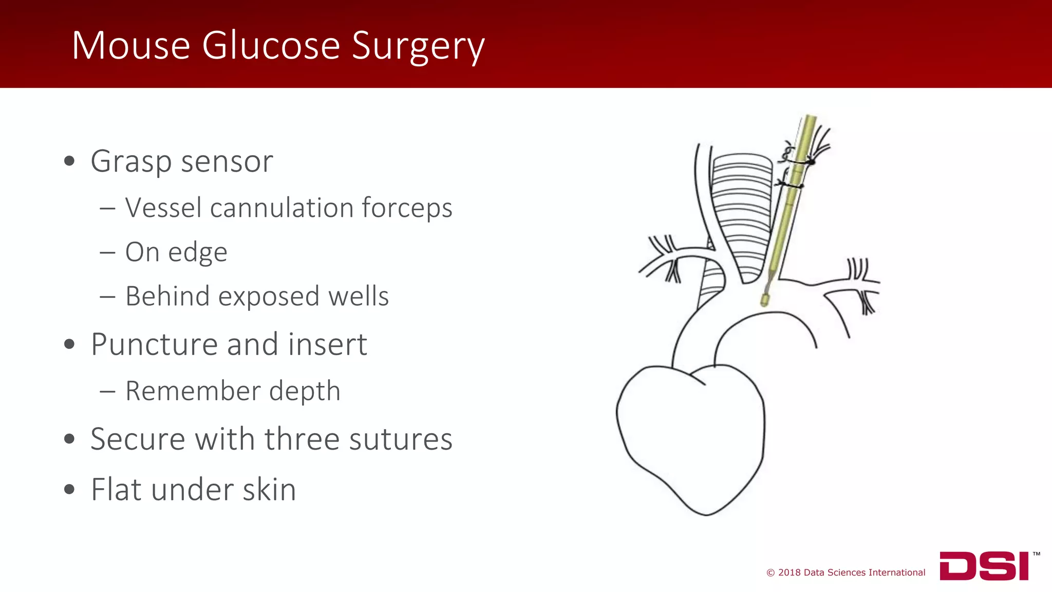 © 2018 Data Sciences International
• Grasp sensor
– Vessel cannulation forceps
– On edge
– Behind exposed wells
• Puncture and insert
– Remember depth
• Secure with three sutures
• Flat under skin
Mouse Glucose Surgery
 