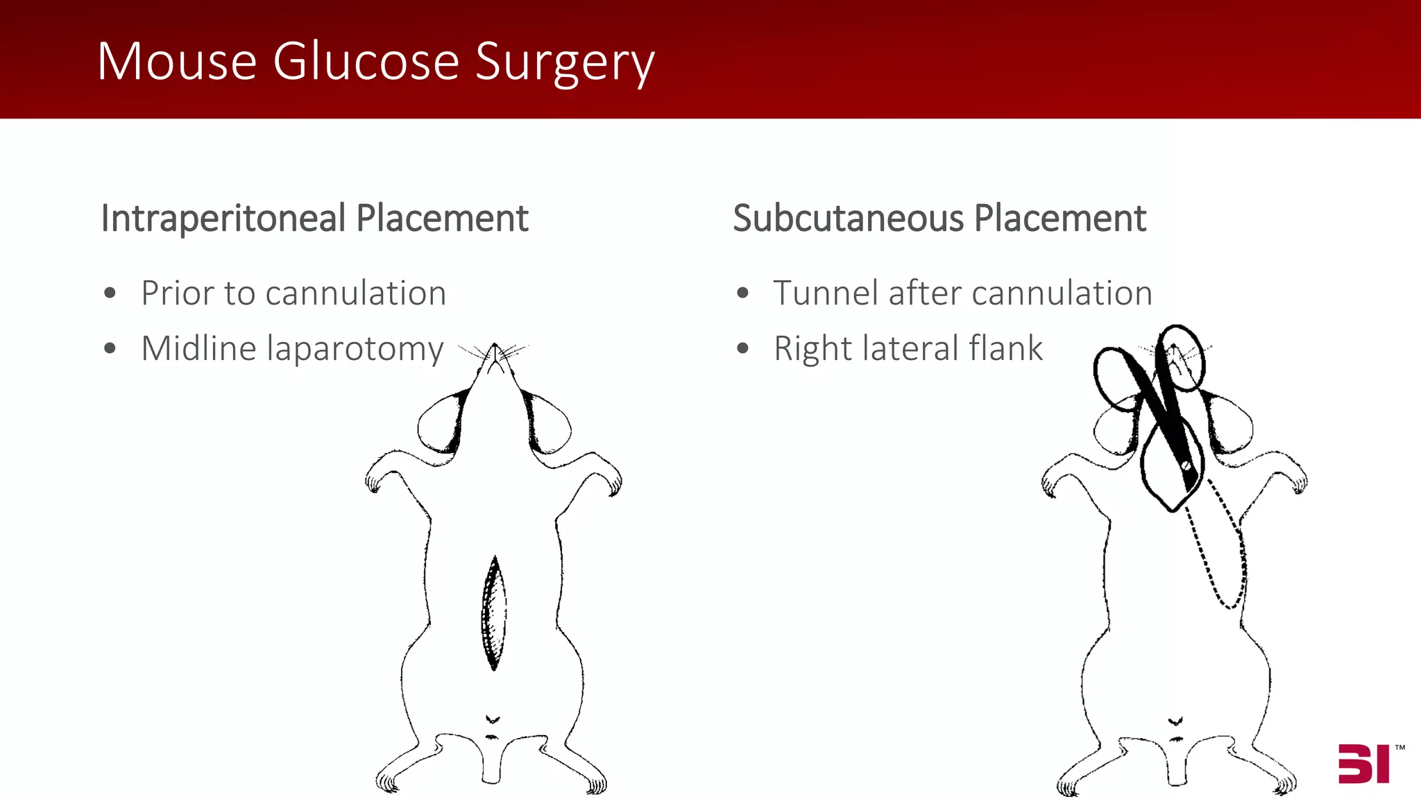 © 2018 Data Sciences International
Intraperitoneal Placement
• Prior to cannulation
• Midline laparotomy
Subcutaneous Placement
• Tunnel after cannulation
• Right lateral flank
Mouse Glucose Surgery
 