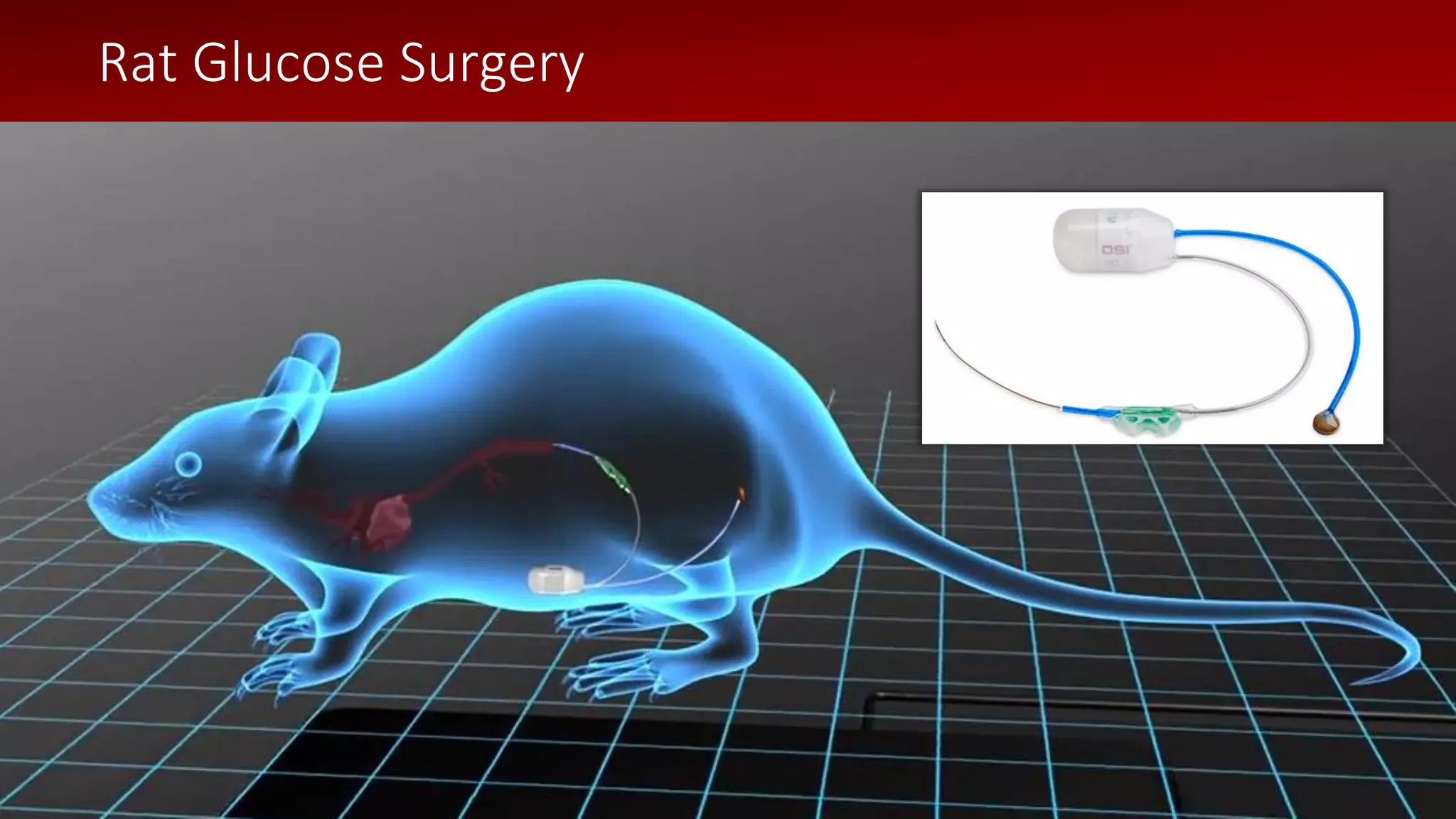 © 2018 Data Sciences International
Rat Glucose Surgery
 