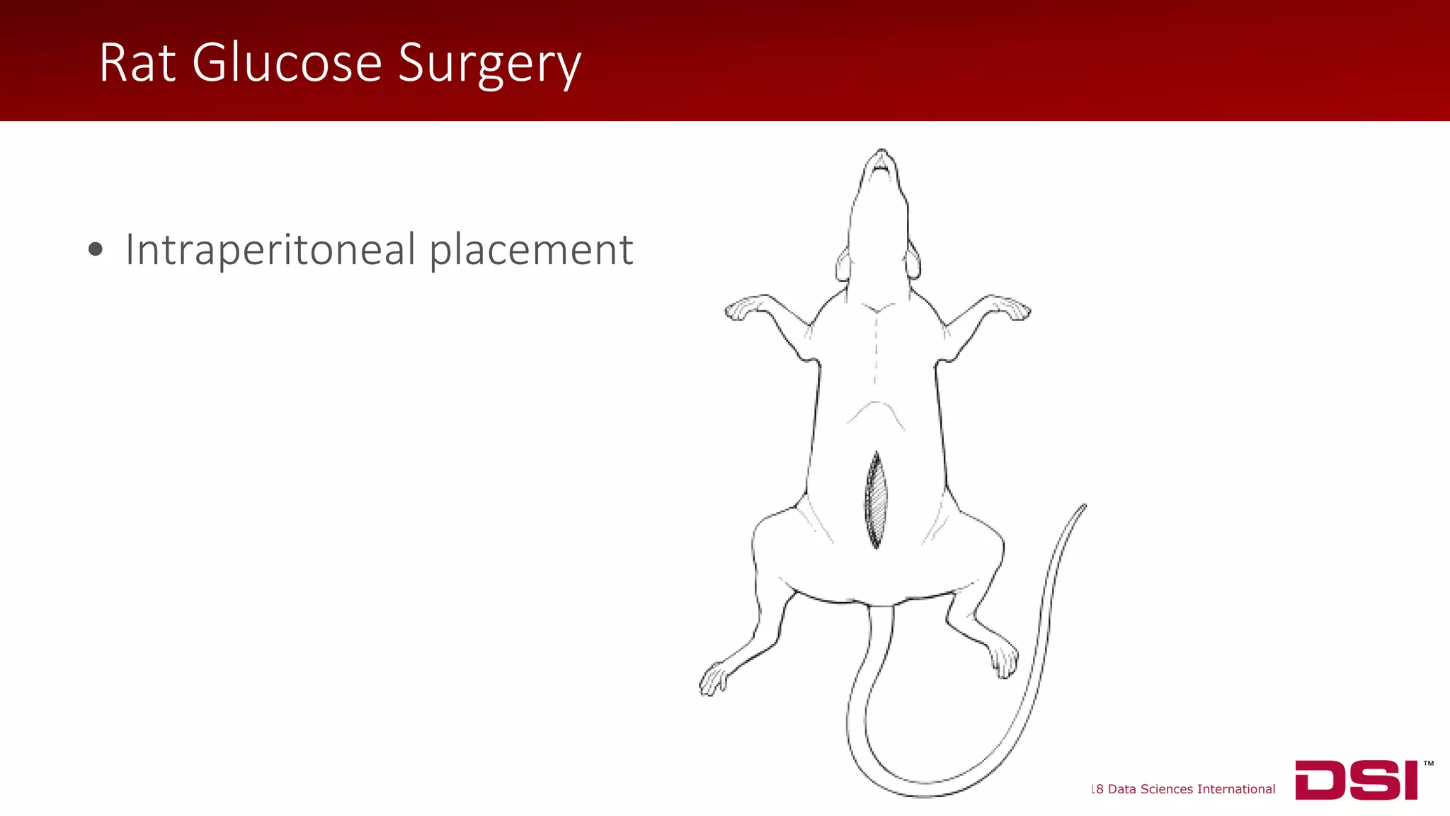 © 2018 Data Sciences International
Rat Glucose Surgery
• Intraperitoneal placement
Rat Glucose Surgery
 