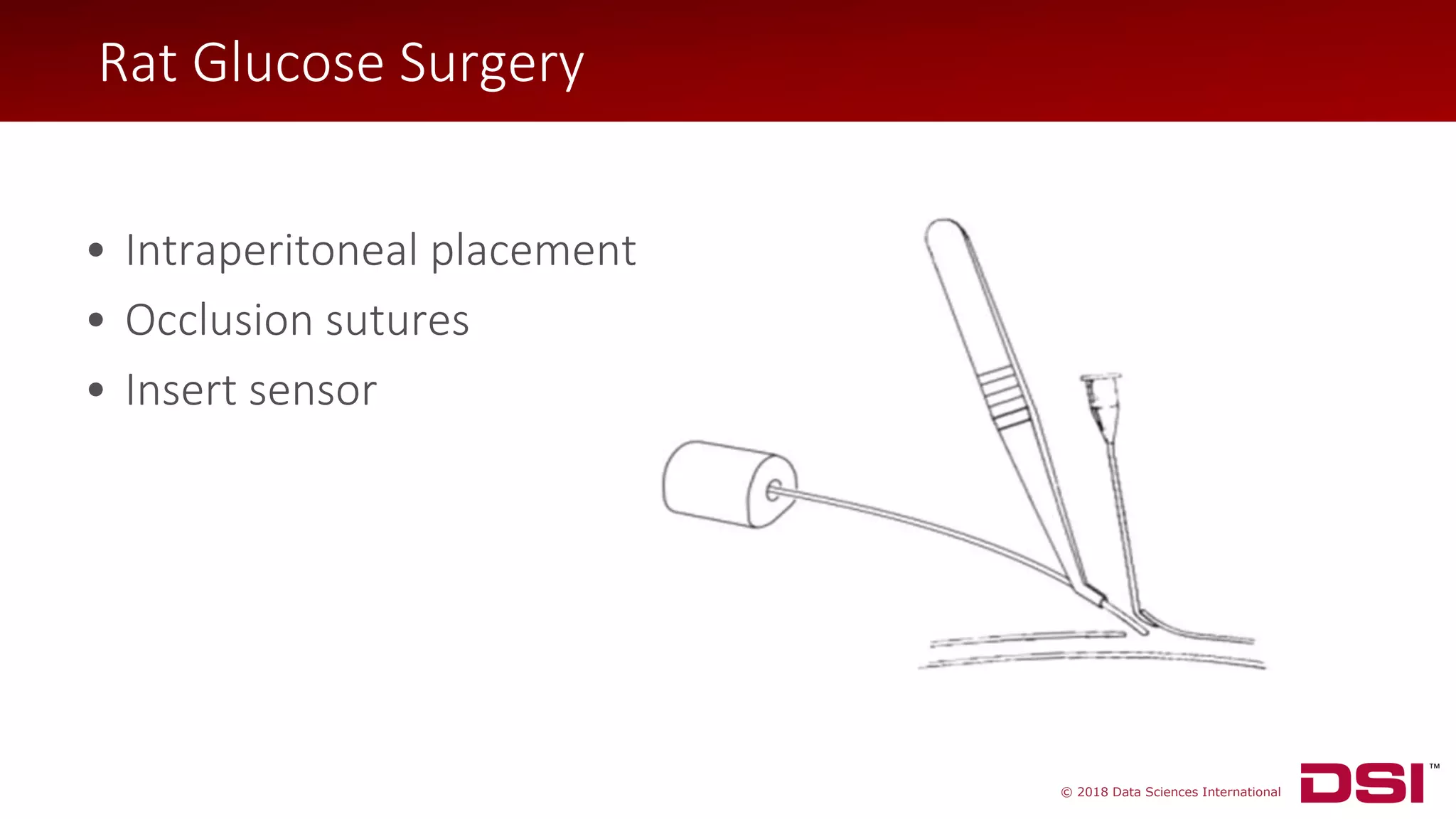 © 2018 Data Sciences International
Rat Glucose Surgery
• Intraperitoneal placement
• Occlusion sutures
• Insert sensor
Rat Glucose Surgery
 