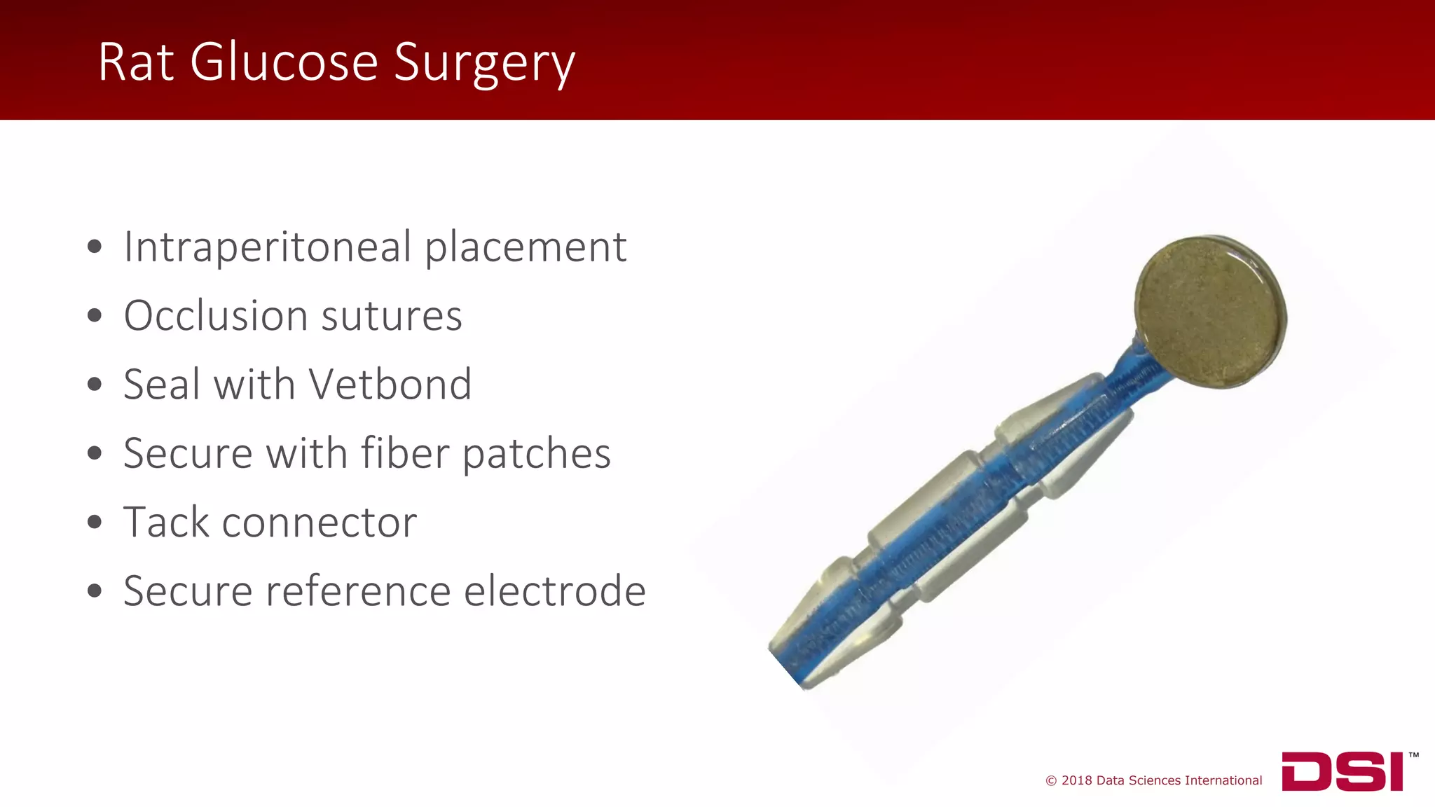 © 2018 Data Sciences International
Rat Glucose Surgery
• Intraperitoneal placement
• Occlusion sutures
• Seal with Vetbond
• Secure with fiber patches
• Tack connector
• Secure reference electrode
Rat Glucose Surgery
 