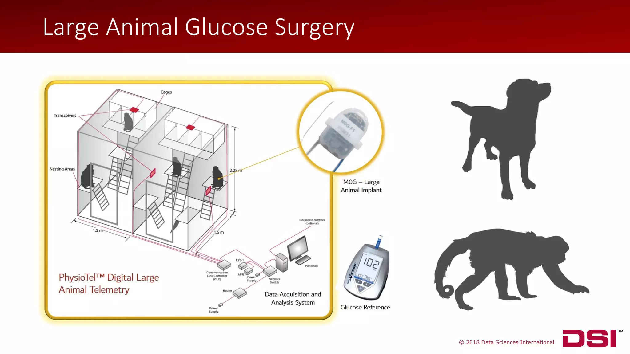 © 2018 Data Sciences International
Large Animal Glucose Surgery
 