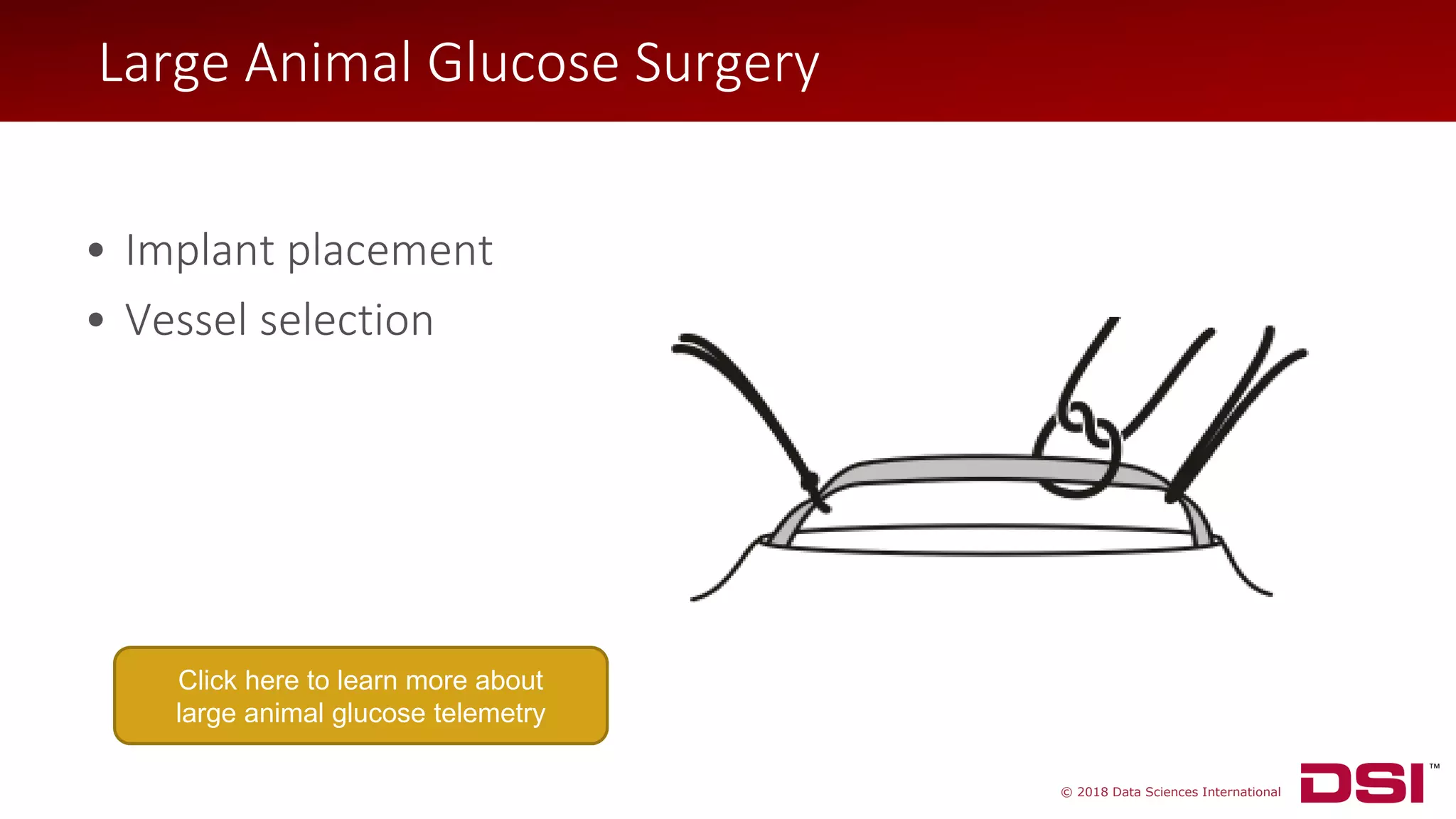 © 2018 Data Sciences International
• Implant placement
• Vessel selection
Large Animal Glucose Surgery
Click here to learn more about
large animal glucose telemetry
 