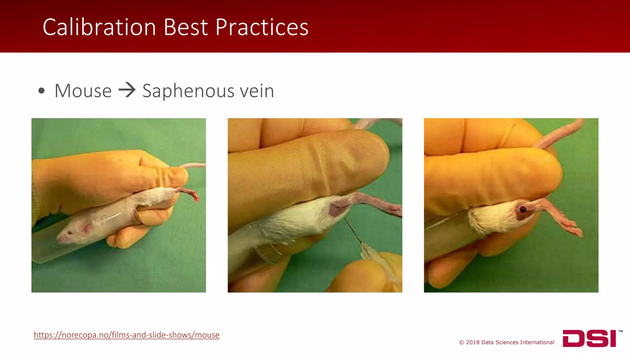 © 2018 Data Sciences International
• Mouse → Saphenous vein
https://norecopa.no/films-and-slide-shows/mouse
Calibration Best Practices
 