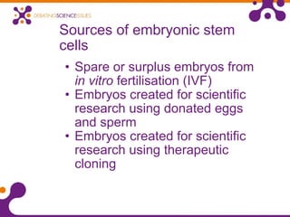Sources of embryonic stem cells Spare or surplus embryos from  in vitro  fertilisation (IVF) Embryos created for scientific research using donated eggs and sperm  Embryos created for scientific research using therapeutic cloning 
