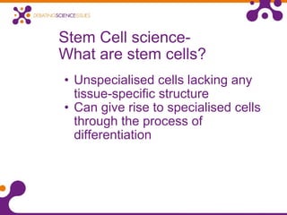 Stem Cell science- What are stem cells? Unspecialised cells lacking any tissue-specific structure Can give rise to specialised cells through the process of differentiation 