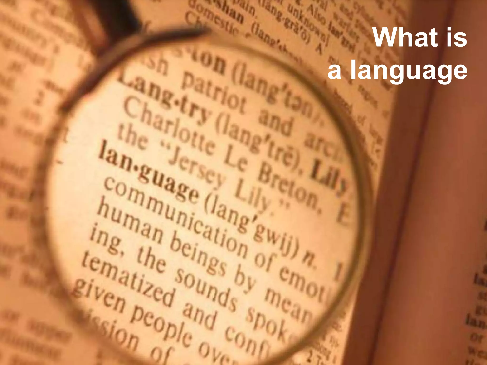 What is
a language
 