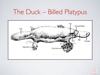 The Duck – Billed Platypus	





       The Data Scientist – Billed Platypus	

 
