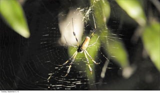 Tuesday, September 3, 13
 