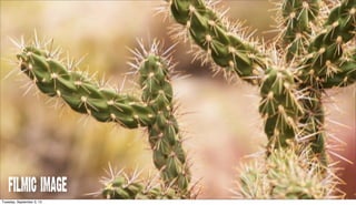 FILMIC IMAGE
Tuesday, September 3, 13
 