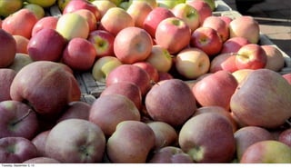 Tuesday, September 3, 13
 