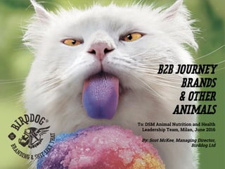 B2B JOURNEY
BRANDS
& OTHER
ANIMALS
To: DSM Animal Nutrition and Health
Leadership Team, Milan, June 2016
By: Scot McKee, Managing Director,
Birddog Ltd
 