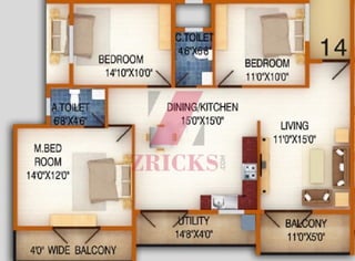 DS MAX Star Nest Brochure - Zricks.com