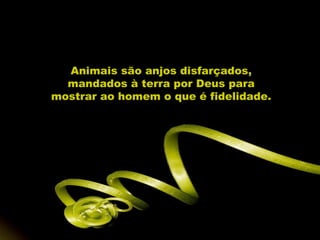 Animais são anjos disfarçados,
  mandados à terra por Deus para
mostrar ao homem o que é fidelidade.
 