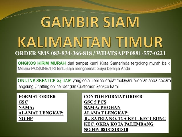D sms +6283 834 366 818, gambir siam kalimantan timur 