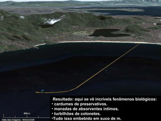 Resultado: aqui se vê incríveis fenômenos biológicos: cardumes de preservativos.  manadas de absorventes íntimos. turbilhões de cotonetes. Tudo isso embebido em suco de m. 