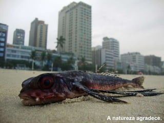 A natureza agradece. 