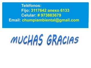 Teléfonos:
Fijo: 3117642 anexo 6133
Celular: # 973883679
Email: chumpiambiental@gmail.com
 