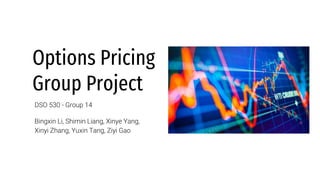 Options Pricing
Group Project
DSO 530 - Group 14
Bingxin Li, Shimin Liang, Xinye Yang,
Xinyi Zhang, Yuxin Tang, Ziyi Gao
 