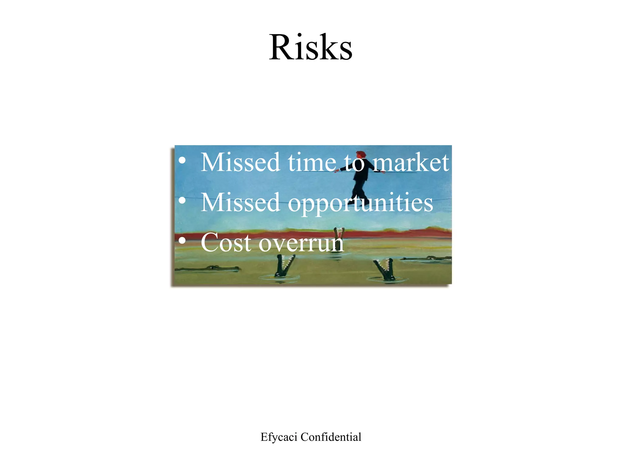 Risks Missed time to market Missed opportunities Cost overrun