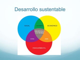 Desarrollo sustentable 
