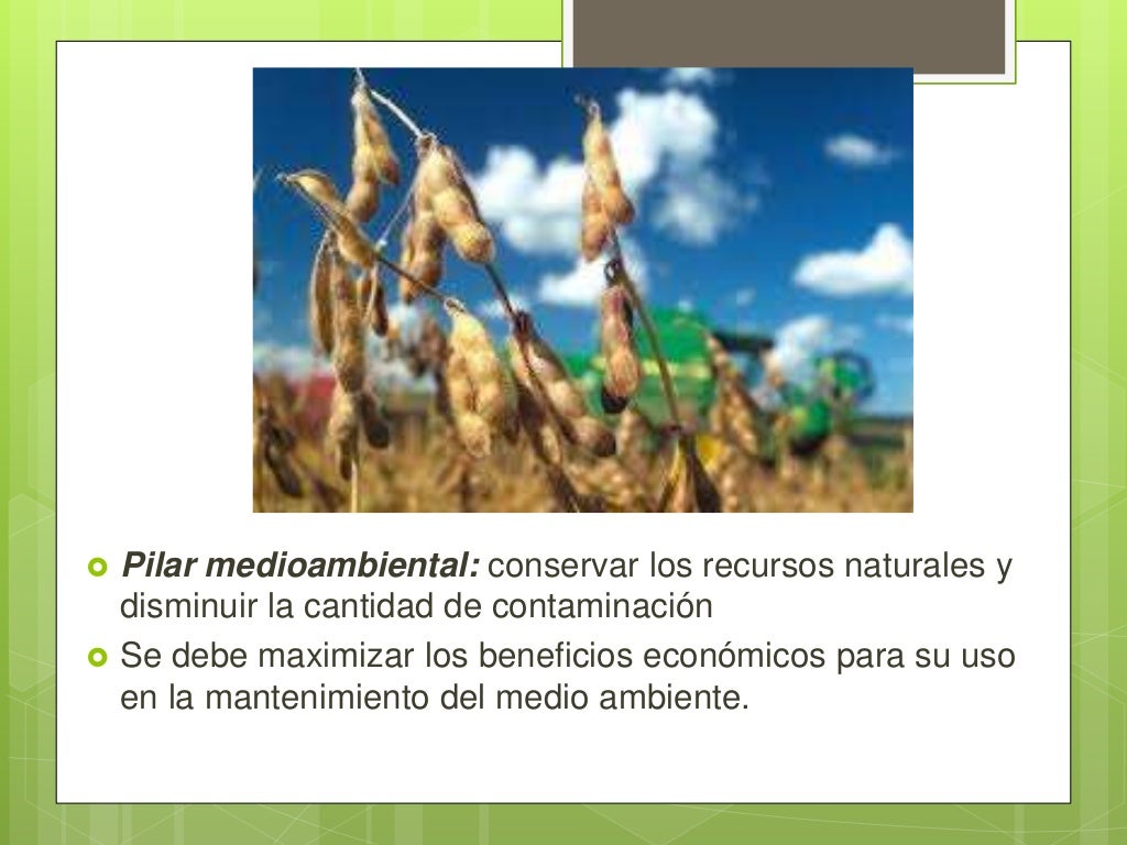 Desarrollo Sostenible en el Perù