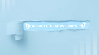 ARCHITECTURAL OVERVIEW
 
