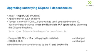 DSpace Developers Workshop at OR2024.pdf