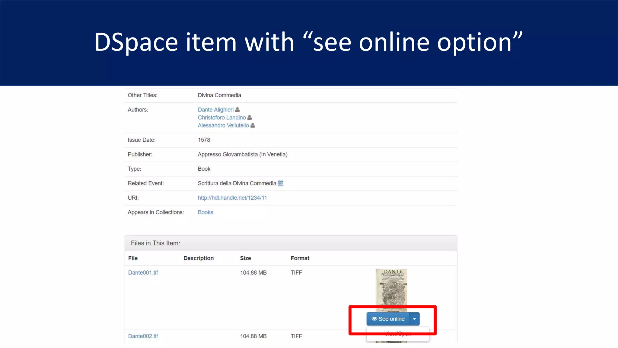 DSpace item with “see online option”
 
