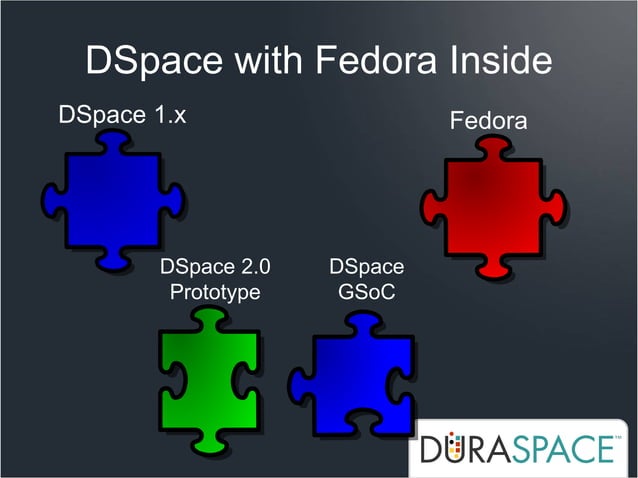 DSpace RoadMap 2010 | PDF