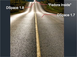 DSpace RoadMap 2010 | PDF