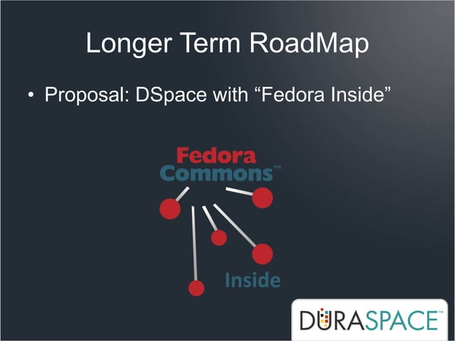 DSpace RoadMap 2010 | PDF