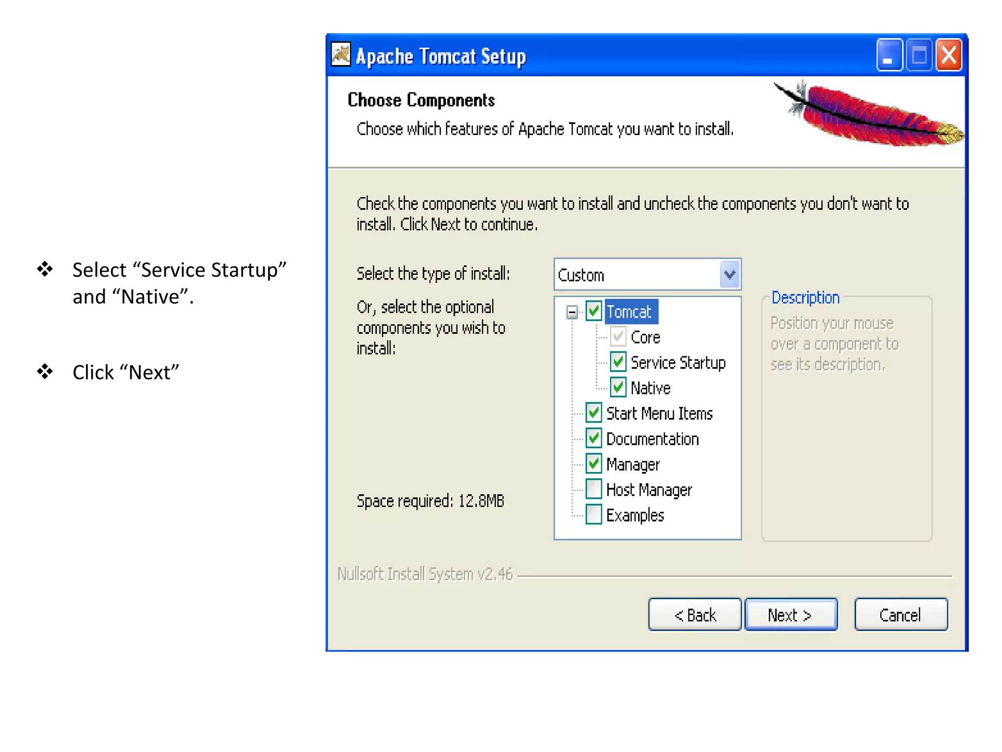  Select “Service Startup”
and “Native”.
 Click “Next”
 