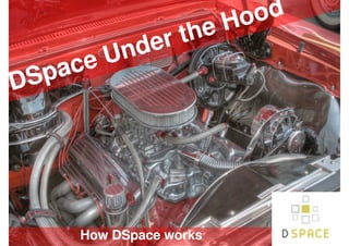 Hood
                  er the
            e U nd
    Sp ac
D




        How DSpace works
 