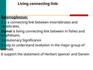 Living connecting link:
Balanoglossus:
It is a connecting link between invertebrates and
vertebrates.
Dipnoi is living connecting link between in fishes and
amphibians.
Evolutionary Significance
It help to understand evolution in the major group of
animals
It support the statement of Herbert spencer and Darwin
 