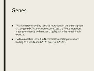 Genes
■ TAM is characterized by somatic mutations in the transcription
factor gene GATA1 on chromosome Xp11.23.These mutations
are predominantly within exon 2 (97%), with the remaining in
exon 3.1.
■ GATA1 mutations result in N-terminal truncating mutations
leading to a shortened GATA1 protein, GATA1s.
 
