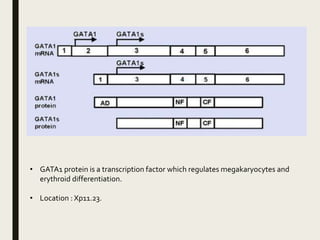• GATA1 protein is a transcription factor which regulates megakaryocytes and
erythroid differentiation.
• Location : Xp11.23.
 